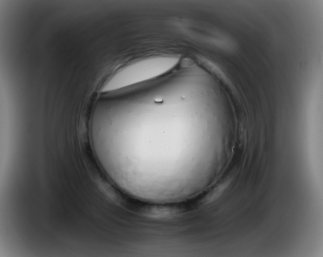 X0000085310453200703302026