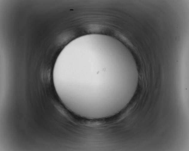 X0000085310454200703302026