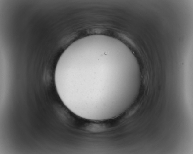 X0000085310455200703302026