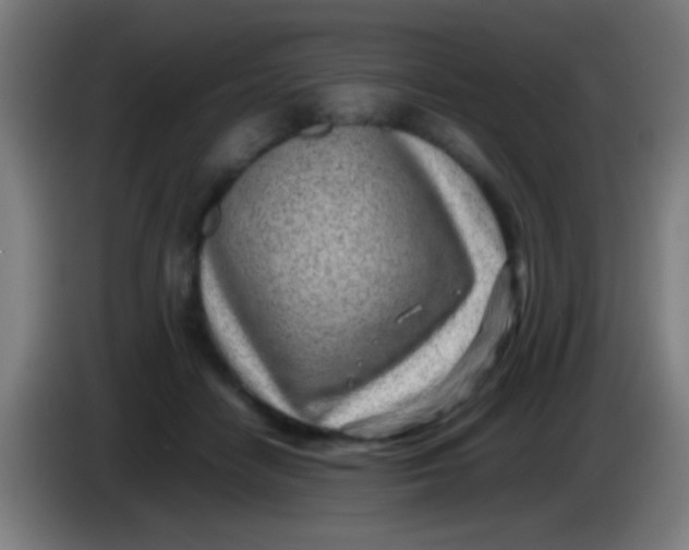 X0000085310458200703302026