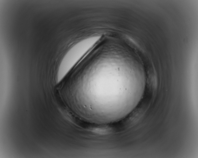 X0000085310459200703302026