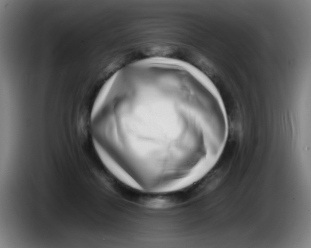 X0000085310460200703302026