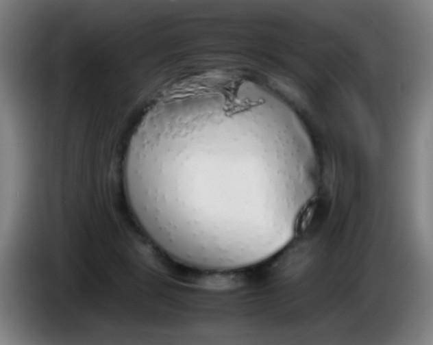 X0000085310461200703302026