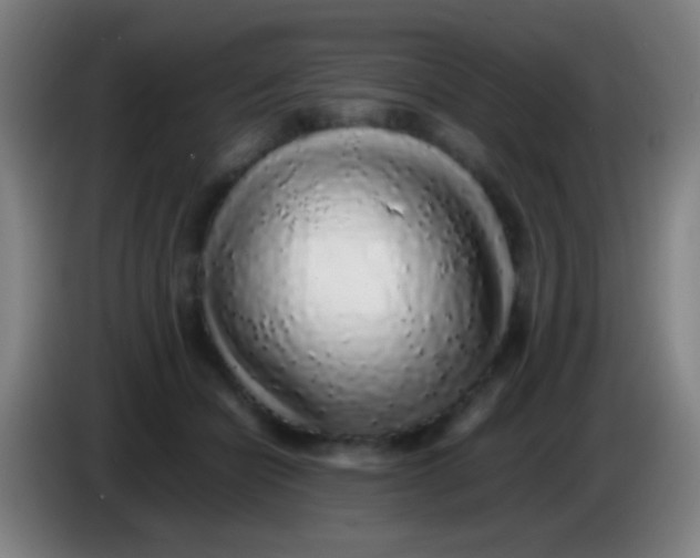 X0000085310462200703302026