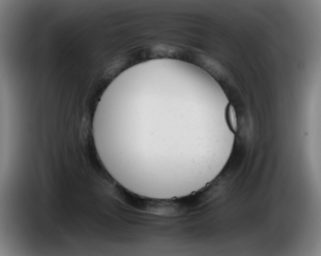 X0000085310463200703302026