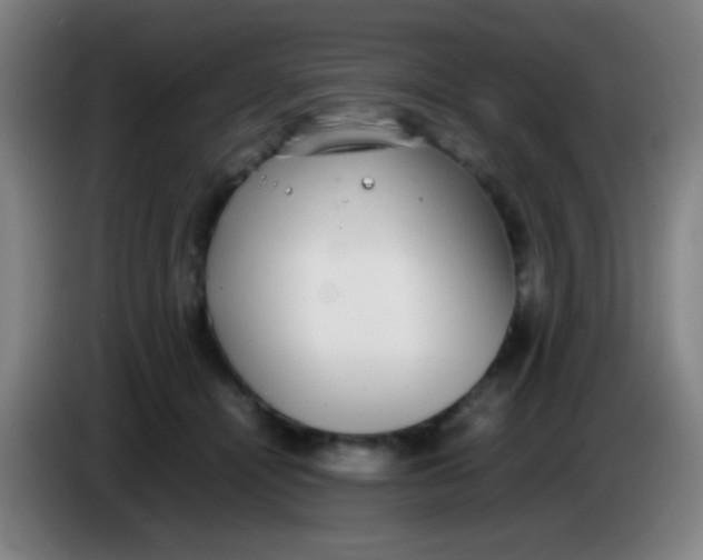 X0000085310464200703302026