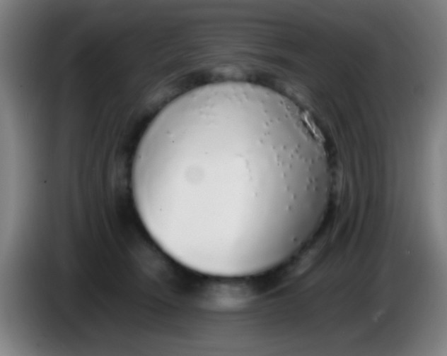 X0000085310466200703302026