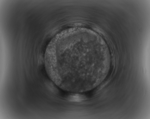 X0000085310467200703302026