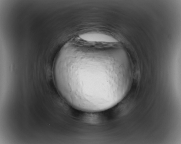 X0000085310469200703302026