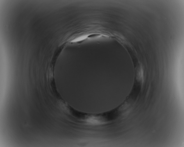 X0000085310471200703302026