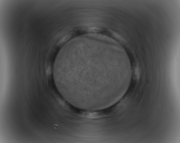 X0000085310472200703302026