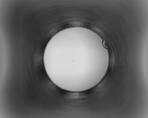 X0000085310473200703302026