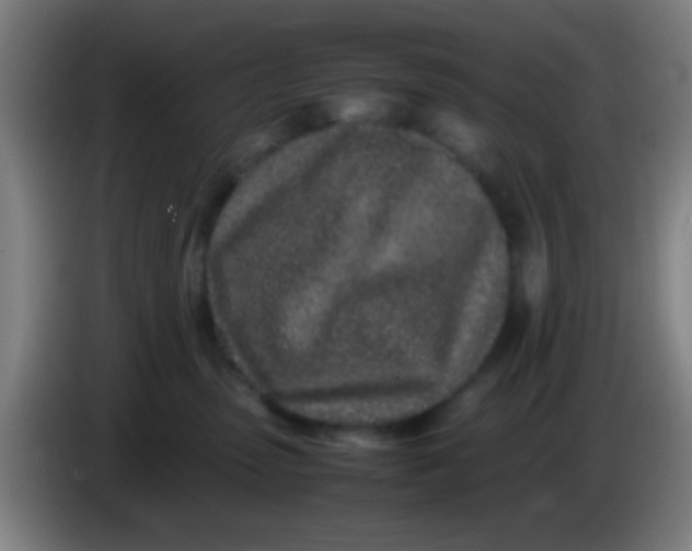 X0000085310475200703302026