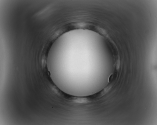 X0000085310476200703302026