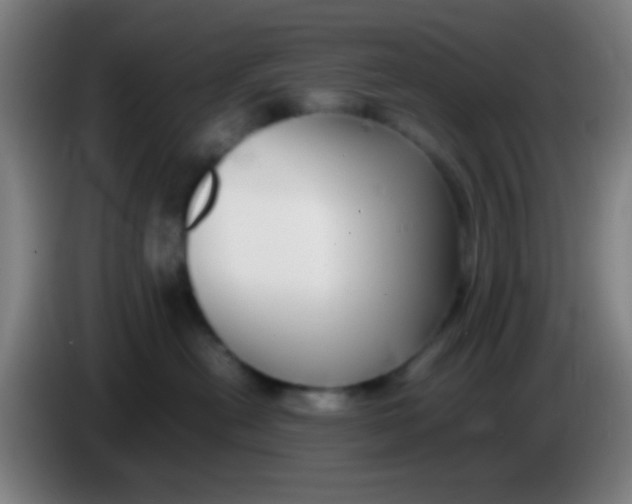 X0000085310478200703302026