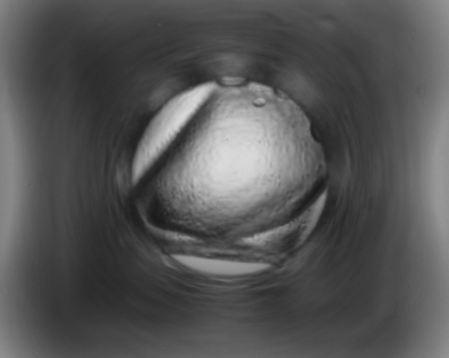 X0000085310479200703302026