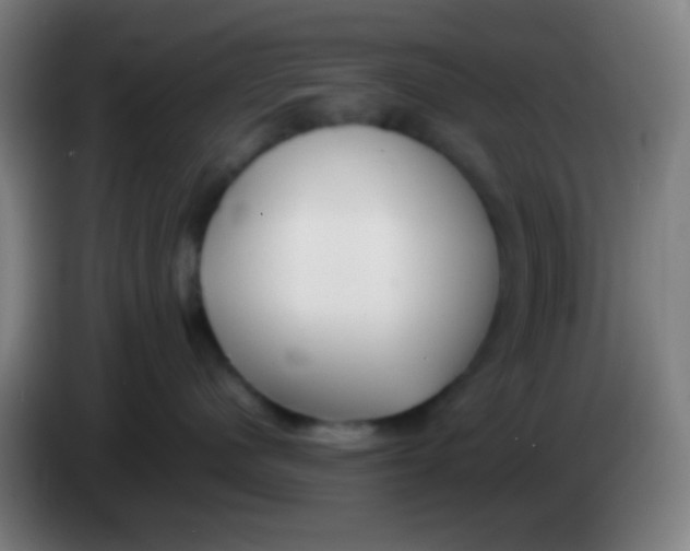 X0000085310480200703302026