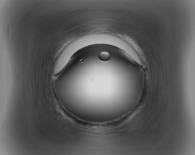 X0000085310481200703302026