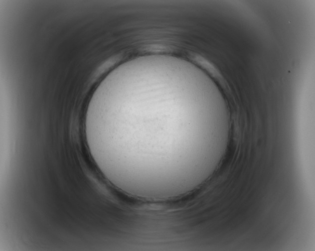 X0000085310482200703302026