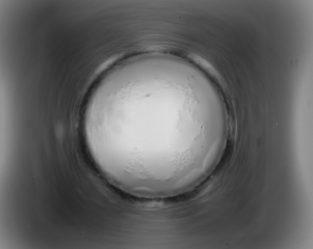 X0000085310483200703302026