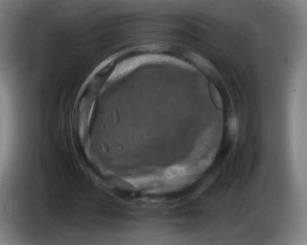 X0000085310484200703302026