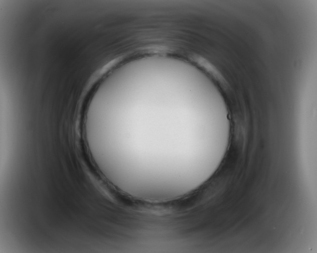 X0000085310486200703302026