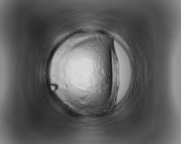 X0000085310487200703302026