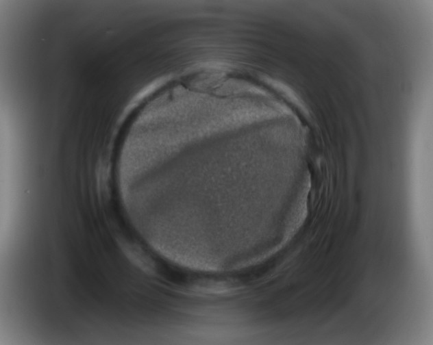 X0000085310488200703302026