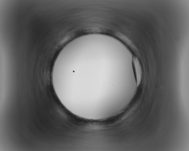 X0000085310489200703302026