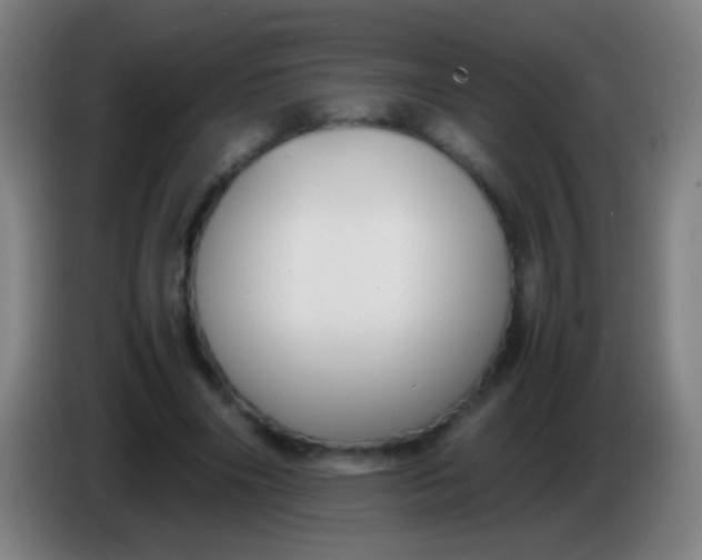 X0000085310490200703302026