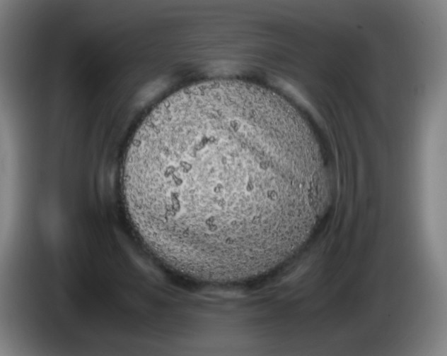 X0000085310491200703302026