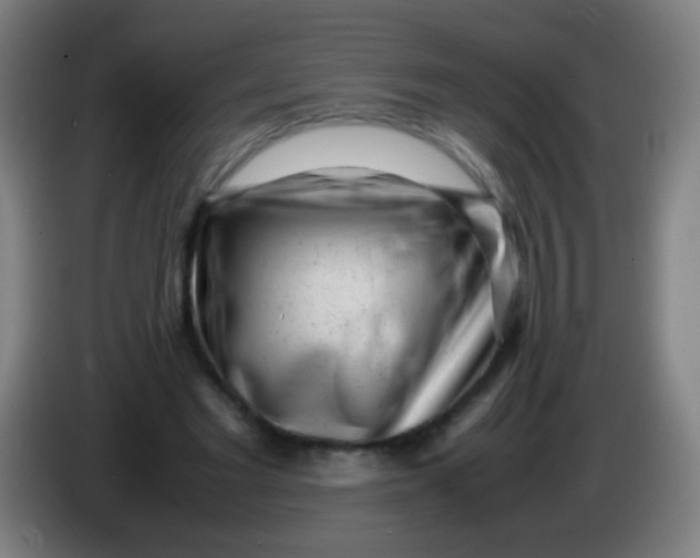 X0000085310493200703302026