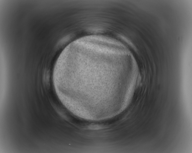 X0000085310494200703302026