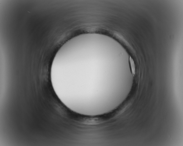 X0000085310497200703302026