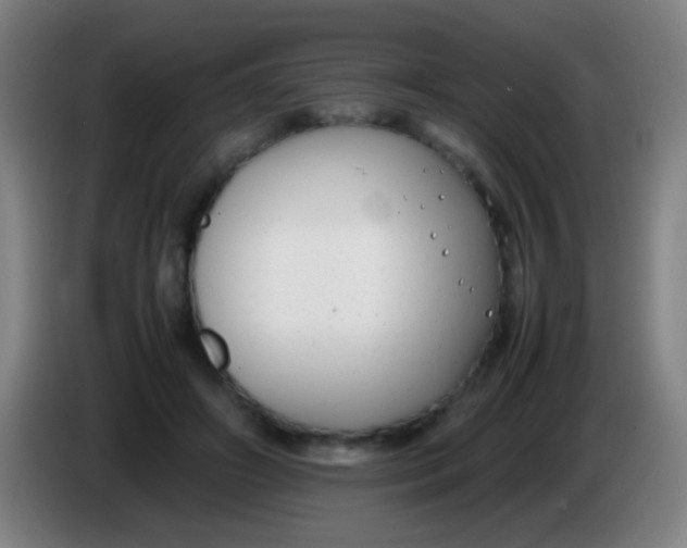 X0000085310498200703302026