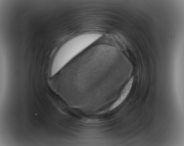 X0000085310500200703302026