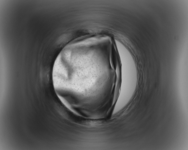 X0000085310501200703302026