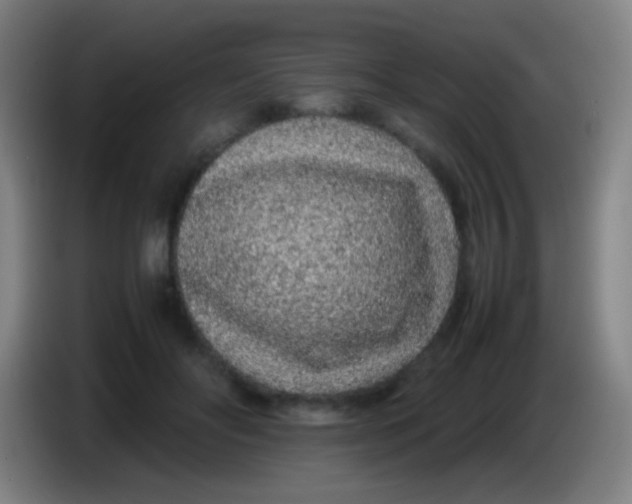 X0000085310502200703302025