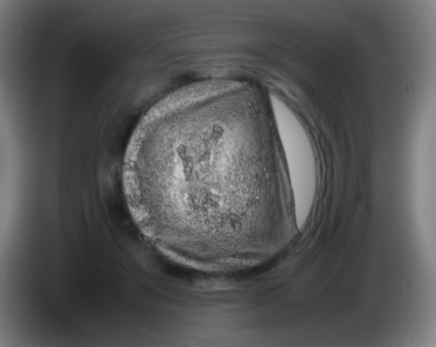 X0000085310503200703302025