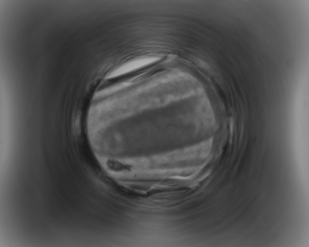 X0000085310504200703302025