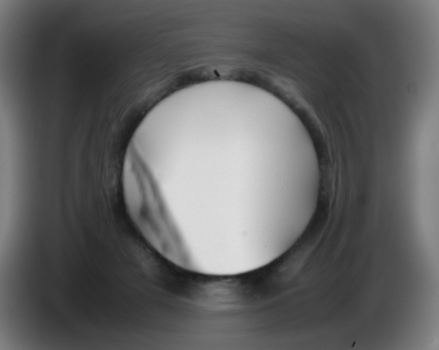 X0000085310505200703302025