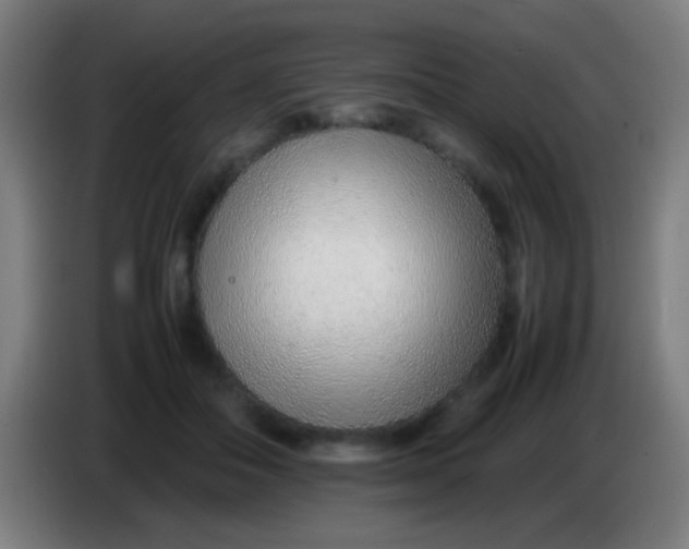 X0000085310506200703302025