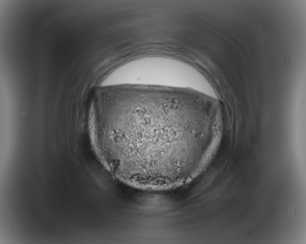 X0000085310507200703302025