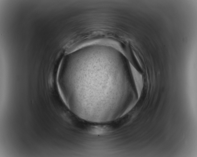 X0000085310508200703302025