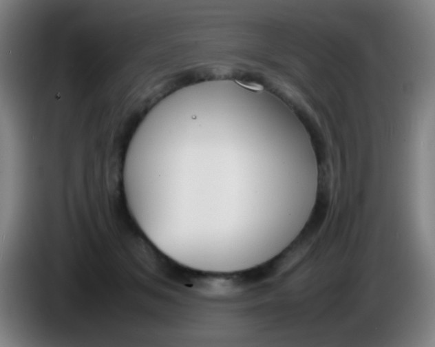 X0000085310509200703302025