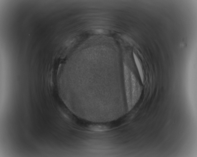 X0000085310512200703302025