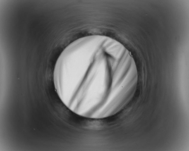 X0000085310513200703302025