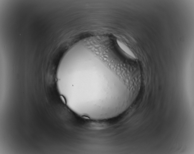 X0000085310515200703302025