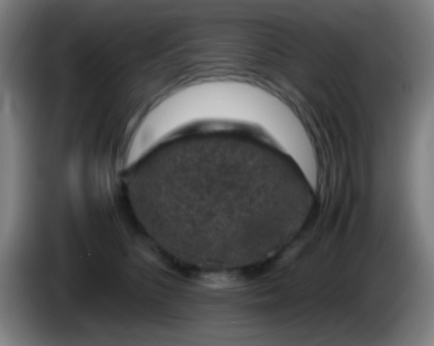 X0000085310516200703302025