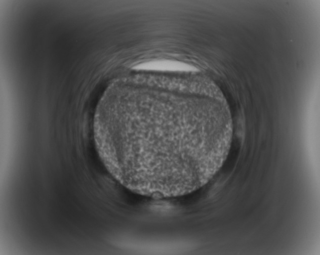 X0000085310519200703302025